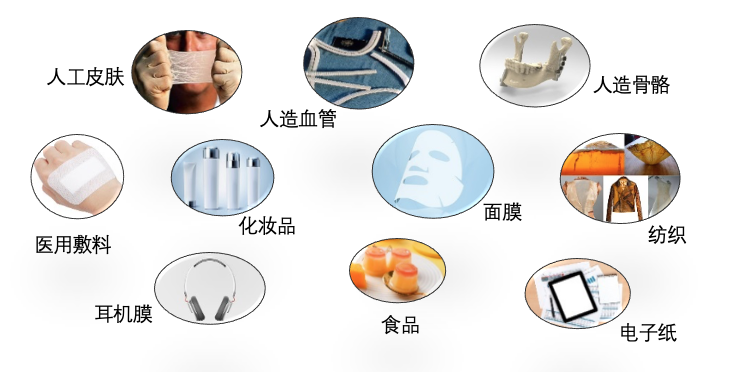 应用领域.png